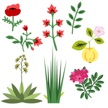Set of decorative plants clipart