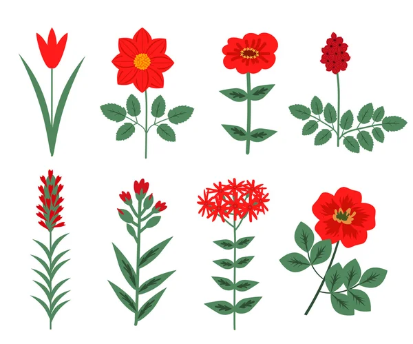 Conjunto de flores rojas — Archivo Imágenes Vectoriales