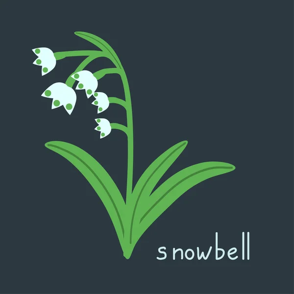 Snowbell växt illustration — Stock vektor