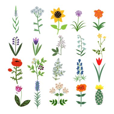 Set of decorative flowers clipart