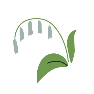 Süleyman 'ın mühür taşıyıcı bitkisi