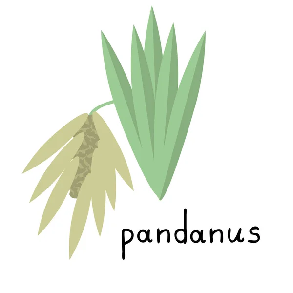 Pandanus Växt Isolerad Ikon Vektor — Stock vektor