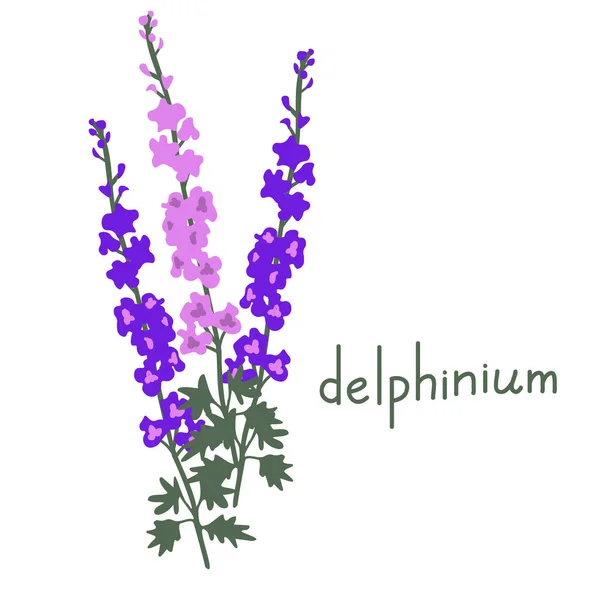 Квітка Дельфініум Проста Векторні Ілюстрації — стоковий вектор