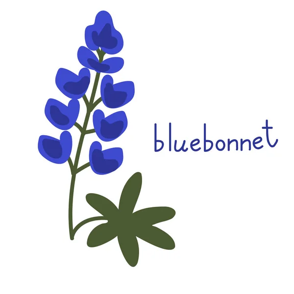 Bluebonnet Vecteur Fleur Isolé Illustration — Image vectorielle