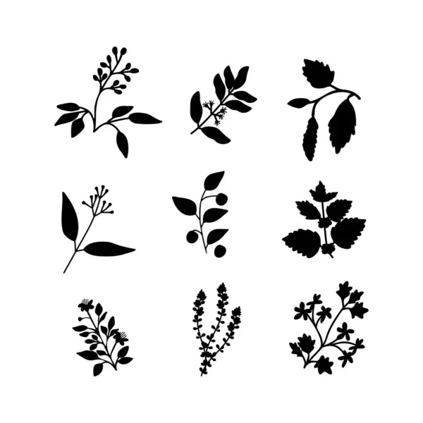 黑色矢量简单植物集 — 图库矢量图片