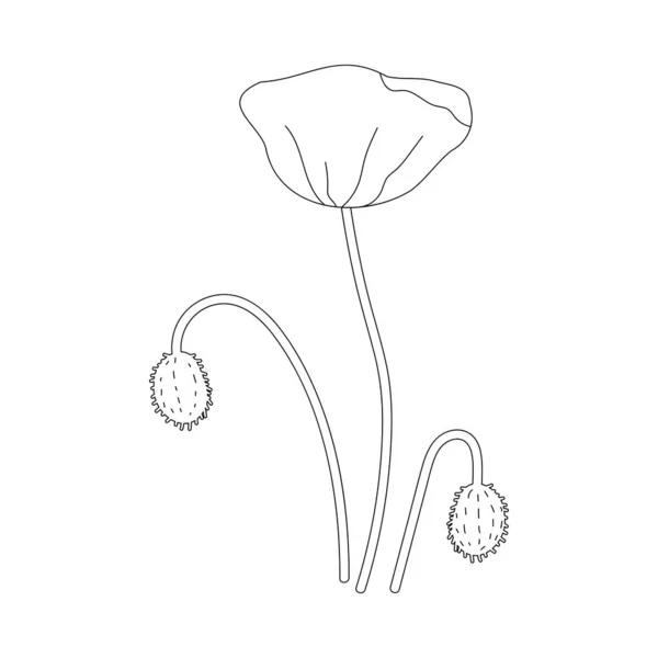 Outline Poppy Simple Vector Illustration — Stock Vector
