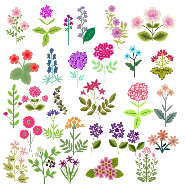 Bloemen set — Stockvector