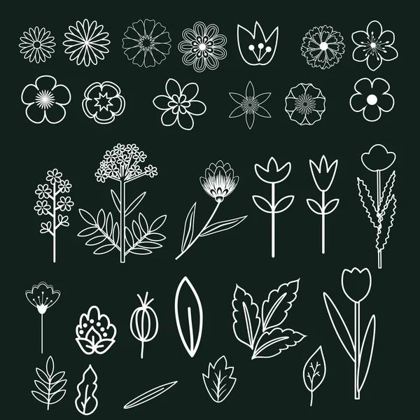 Conjunto de flores decorativas — Vector de stock