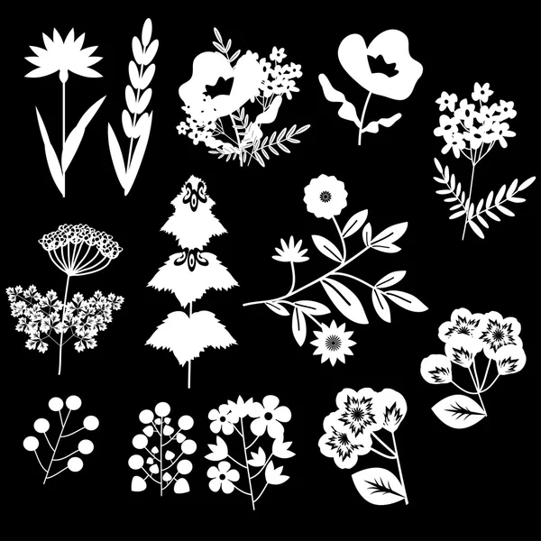 Conjunto decorativo flores — Vector de stock
