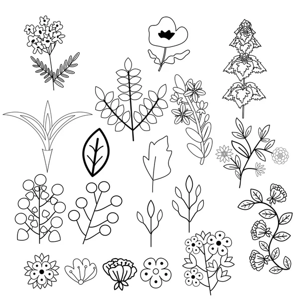 Flowers decorative set — Stock Vector