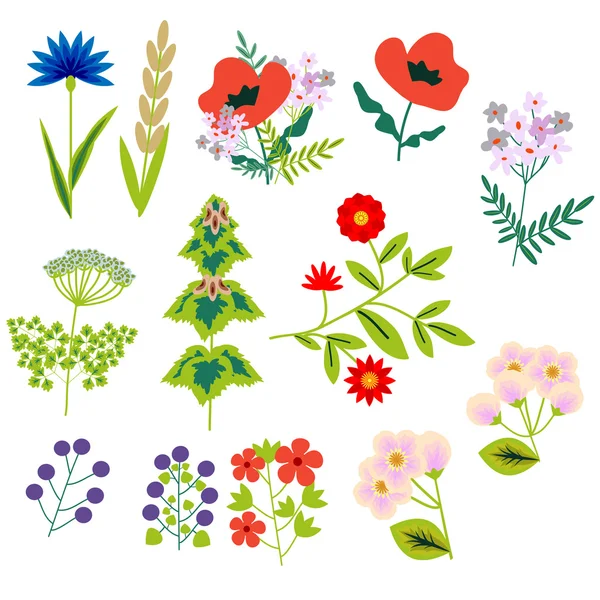 Decoratieve bloemen instellen — Stockvector