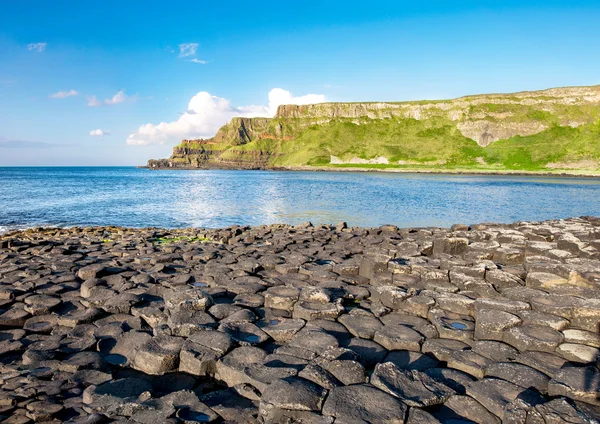 巨人铜锣和北爱尔兰的悬崖 — 图库照片