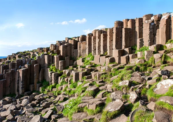 Giants Causeway in Nordirland — Stockfoto