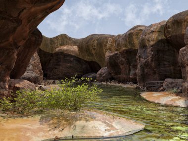 Açık havada bir mağara manzarası, su ve bitkilerle dolu..