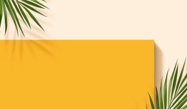 3D yaz sahnesi tasarımı. Tropikal palmiye yapraklarıyla sarı kare sahnenin en üst görüntüsü. Kozmetik ürün gösterimi için.