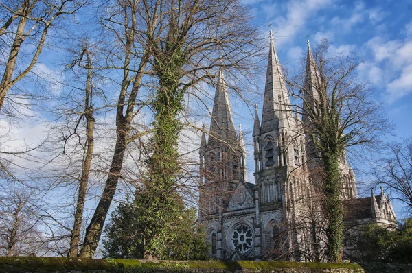 Katedralen i Cork — Stockfoto