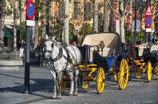 Caballo arnés —  Fotos de Stock