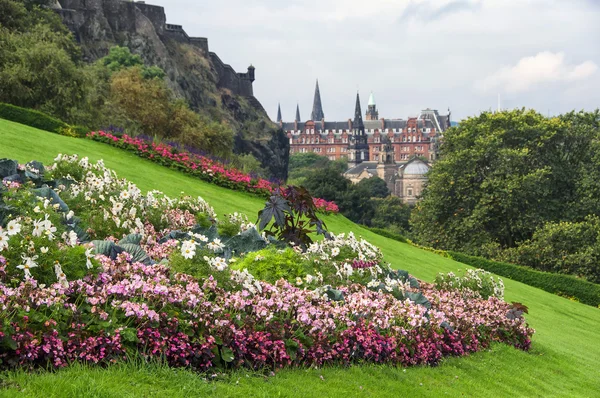 Blumen von edinburgh castle — Stockfoto