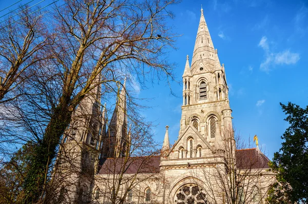 St Fin Barres Cathedral in Cork — Stock Photo, Image