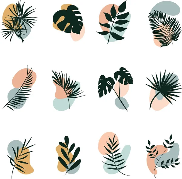Arte botânica. Set capa destaque icon.Vector flor logotipo element.Hand plantas desenhadas. — Vetor de Stock