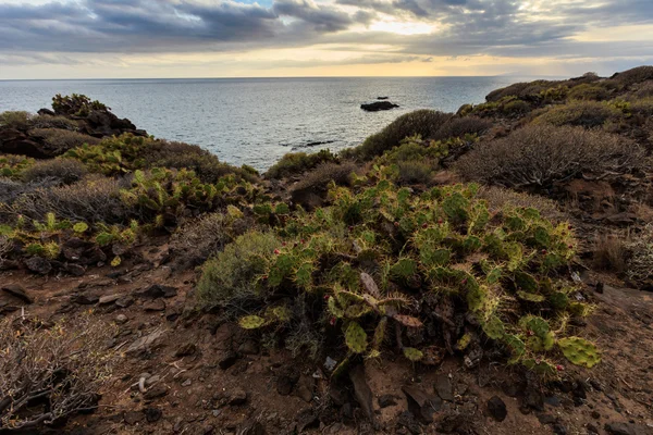 Wunderschöne Landschaft Teneriffas - costa adeje — Stockfoto