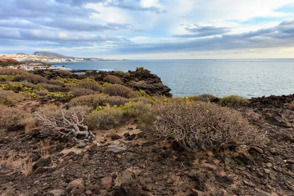 Prachtige landschap Tenerife - Costa Adeje — Stockfoto