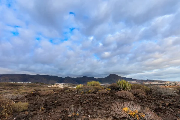 Wunderschöne Landschaft Teneriffas - costa adeje — Stockfoto
