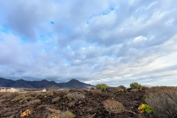 Krásná krajina Tenerife - Costa Adeje — Stock fotografie