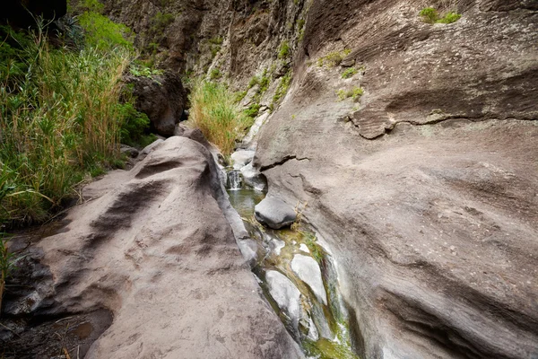 Bellissimo paesaggio di Tenerife - Valle Masca — Foto Stock