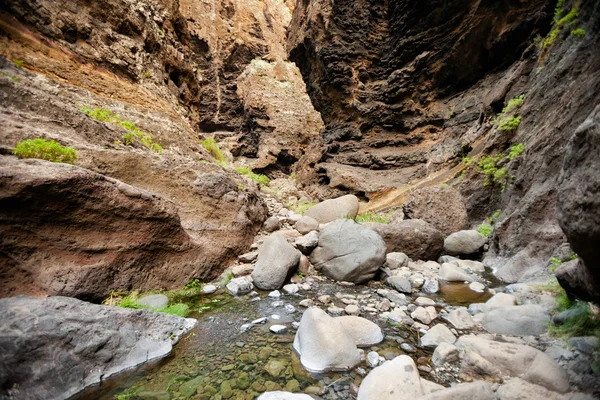 Ландшафт Тенерифе - долина Маска — стоковое фото