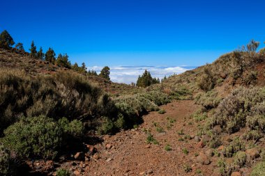 Güzel Tenerife volkan - El Teide