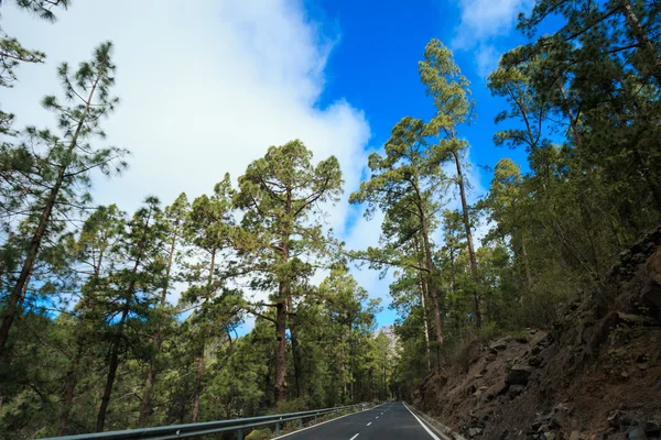 Schöne Straße nach Teneriffa - el teide — Stockfoto