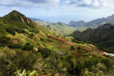 Güzel Tenerife manzara - Anaga dağlar