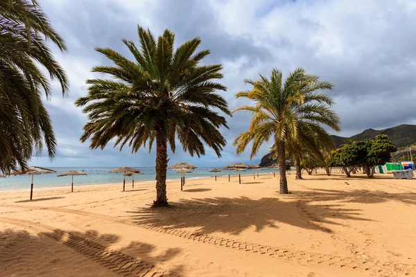 Playa de Las Teresitas Tenerife — Foto de Stock