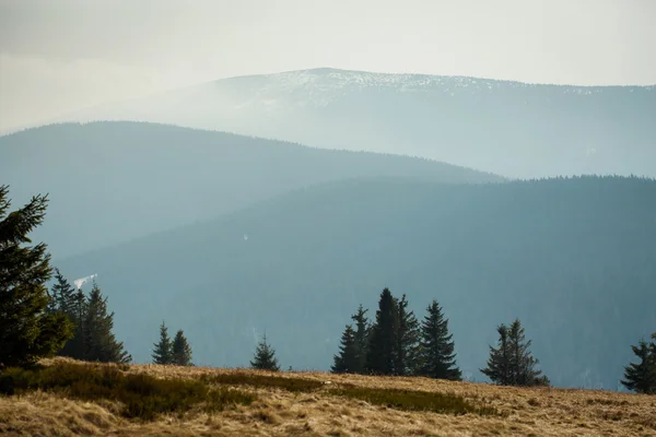 Beautiful Beskidy landscape - Rysianka mountain — Stock Photo, Image