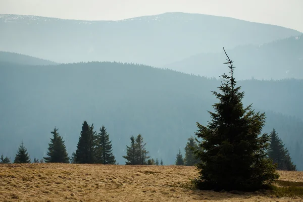 Hermoso paisaje Beskidy - Montaña Rysianka —  Fotos de Stock