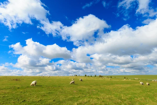 Mooie zonnige landschap Stonehenge Engeland — Stockfoto