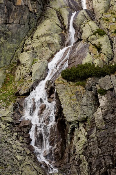Slovakiska Tatry Skok vattenfall landskap — Stockfoto