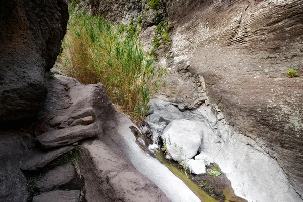 Bela paisagem de Tenerife - Vale de Masca — Fotografia de Stock