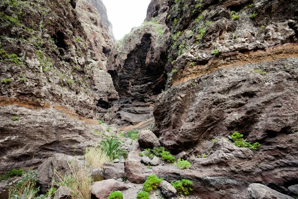 Wunderschöne Landschaft Teneriffas - Masca-Tal — Stockfoto