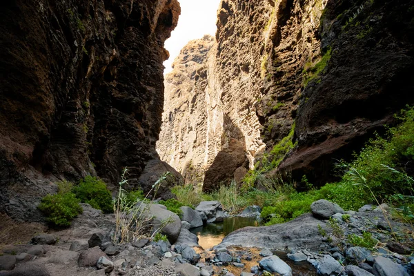 Wunderschöne Landschaft Teneriffas - Masca-Tal — Stockfoto