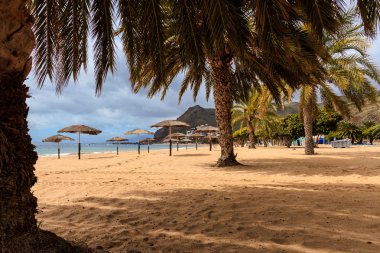 Playa de Las Teresitas Tenerife