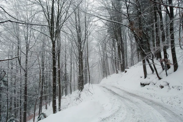 Panorama de bosques de invierno en Beskidy —  Fotos de Stock