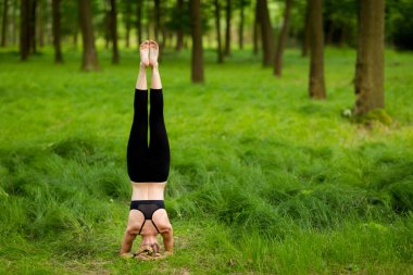 Ormanda güzel yoga seansı