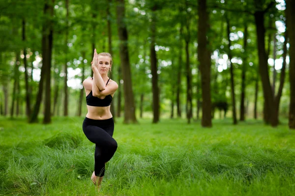 Schöne Yoga-Sitzung im Wald — Stockfoto