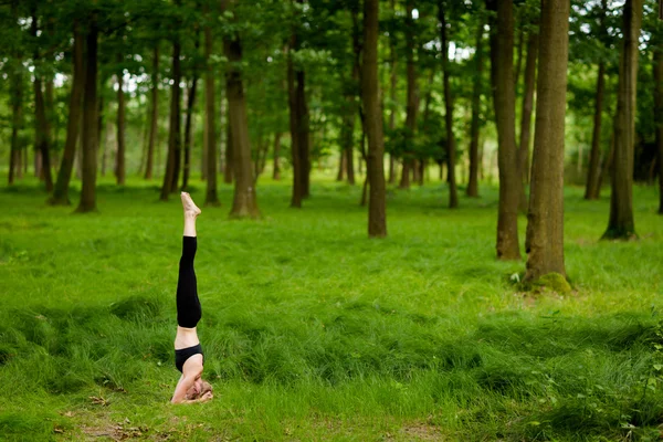 Schöne Yoga-Sitzung im Wald — Stockfoto