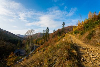 Polonya 'daki Beskidy dağlarındaki WIelka Racza yolunda sonbahar manzarası fotoğrafı..