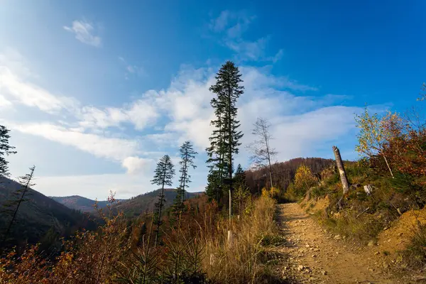 Polonya 'daki Beskidy dağlarındaki WIelka Racza yolunda sonbahar manzarası fotoğrafı..