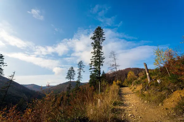 Podzimní Krajina Foto Lesů Polských Beskydech Stezce Wielka Racza — Stock fotografie