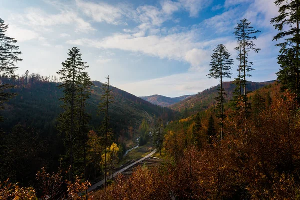 ポリッシュベスキディ山の森の秋の風景写真 Welka Raczaへのパス上 — ストック写真